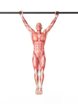 Person exercising on pull up bar イラスト素材