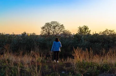 Person exploring nature at sunset Stock Photos