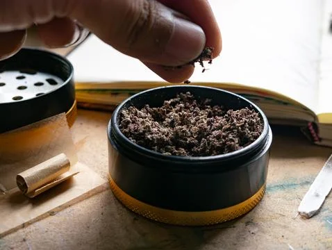 Person Finger Testing Texture of Crushed Dry Marijuana in Premium Herb Grinde Stock Photos