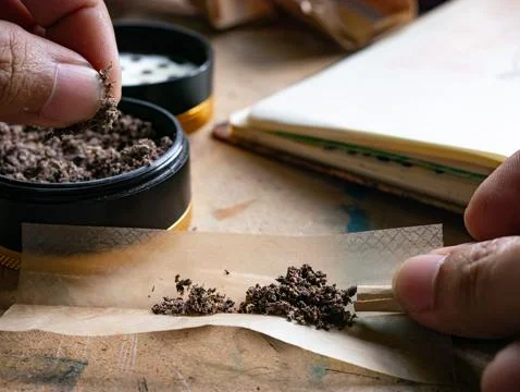 Person Finger Testing Texture of Crushed Dry Marijuana in Premium Herb Grinde Stock-Fotos