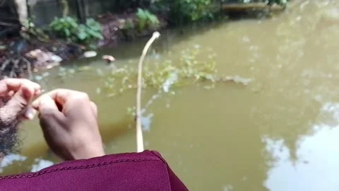 Person fishing using simple bamboo pole in murky river outdoor activity. 스톡 동영상 346617616