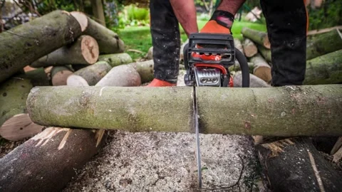 A person of forest worker with Chainsaws cut trees in the forest to build a 스톡 동영상 336570522