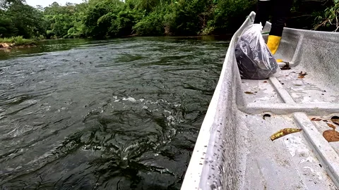 A person at the front of a canoe is navigating the canoe through a stream Video stock 336917013