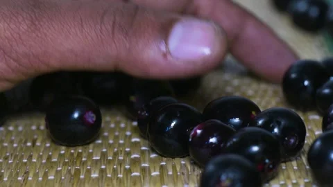 A person gathering all the fallen java plum fruits front push 4k short Stock Footage 252207206