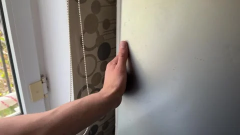 A person gently opens and then closes a refrigerator door, interacting with the Stock Footage 335073664