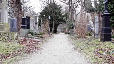 Person going through a cemetery Stock Footage 133425519