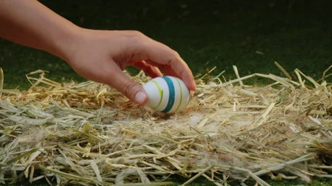 Person hand collects Easter eggs on a nest with dry grass Stock Footage 288562987