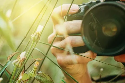 Person hand holding a professional camera to take macro photos of a snail Stock Photos