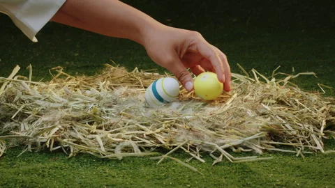Person hand puts in Easter eggs a nest with dry grass Stock Footage 288564799