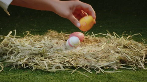 Person hand puts in Easter eggs a nest with dry grass Stock Footage 289153582