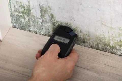 Person Hand Testing The Moldy Wall Stock Photos
