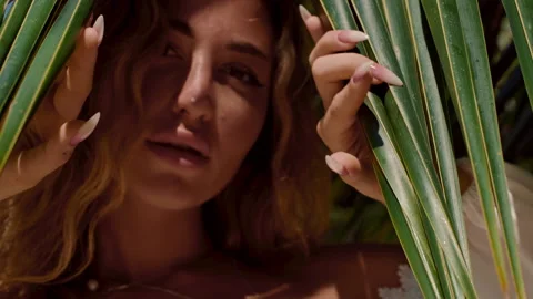 A person is hidden behind a leaf of a palm tree, peeking out Stock Footage 271621345
