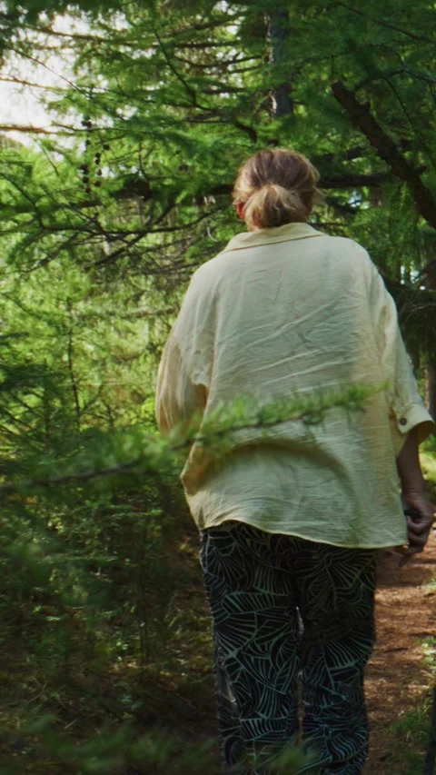 Person hiking in forest with backpack, moving through tall trees Stock Footage 335577726