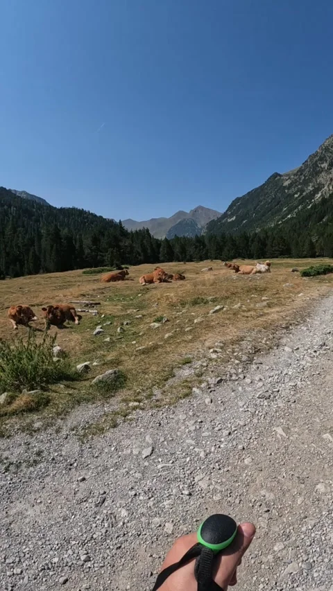 Person hiking in the pyrenees Stock Footage 303094656