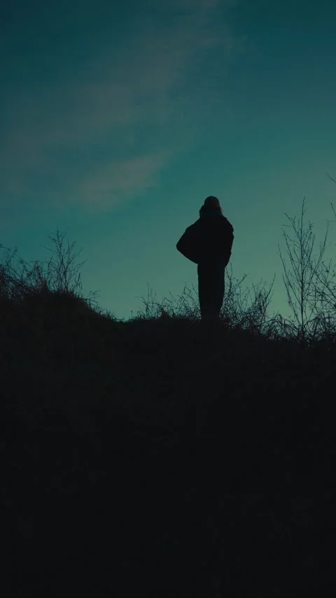 Person on a hill at twilight Video stock 297467631