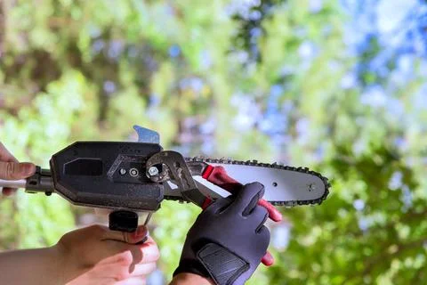 Person holding chainsaw for tree work in forest Stock Photos