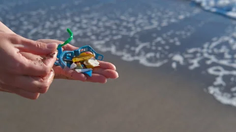 Person holding microplastics collected from the ocean beach Video stock 344927115