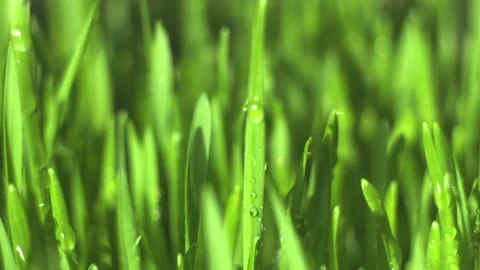 Person is holding a tablet with a green screen Stock Footage 311466202