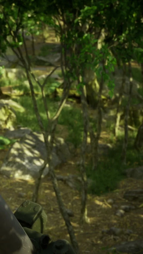 Person holds weapon in forest during daytime while observing surroundings Stock Footage 336582039