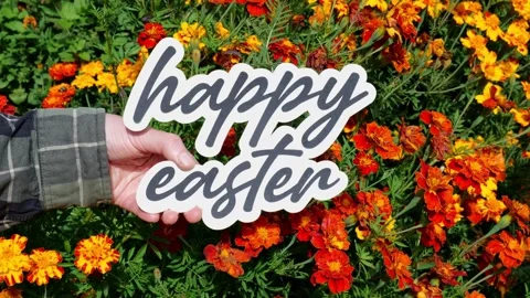 Person Holds Up the words Happy Easter in front of Mums Flowers in the Fall Video stock 323181050