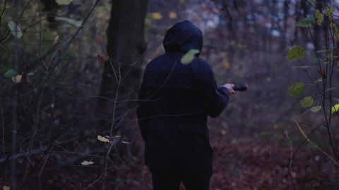 Person in hooded jacket walking through dark autumn forest at twilight whil.. Stock Footage 334551928