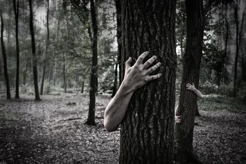 Person Hugging Tree Stock Photos