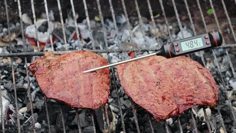 Person inserting meat thermometer into steak on a barbecue grill Stock Footage 295058738