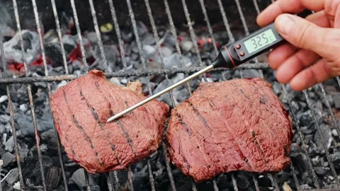 Person inserting meat thermometer into steak on a barbecue grill Stock Footage 295059332