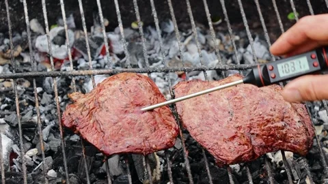 Person inserting meat thermometer into steak on hot grill Stock Footage 295269711