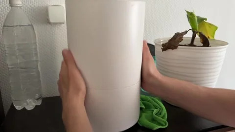 Person installing and adjusting air humidifier, setting device for indoor Video stock 337109139