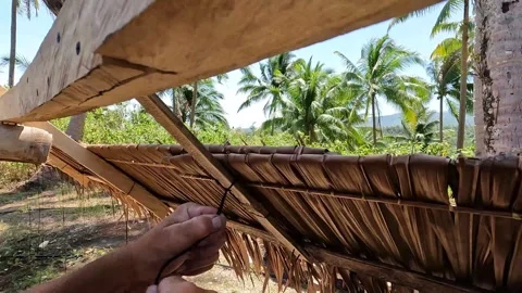 Person installing roof using indigenous materials Stock Footage 277672848