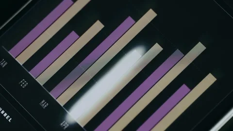 Person interacts with a bar graph featuring alternating purple and beige bars Video stock 334436786