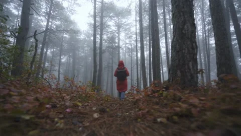 Person in jacket with backpack walks along foggy forest Stock Footage 165200910