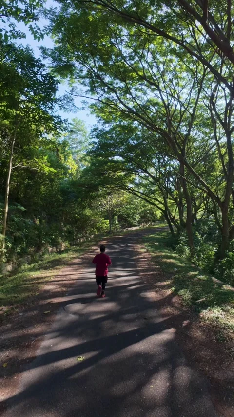 Person Jogging on Forest Path Stock Footage 326025581