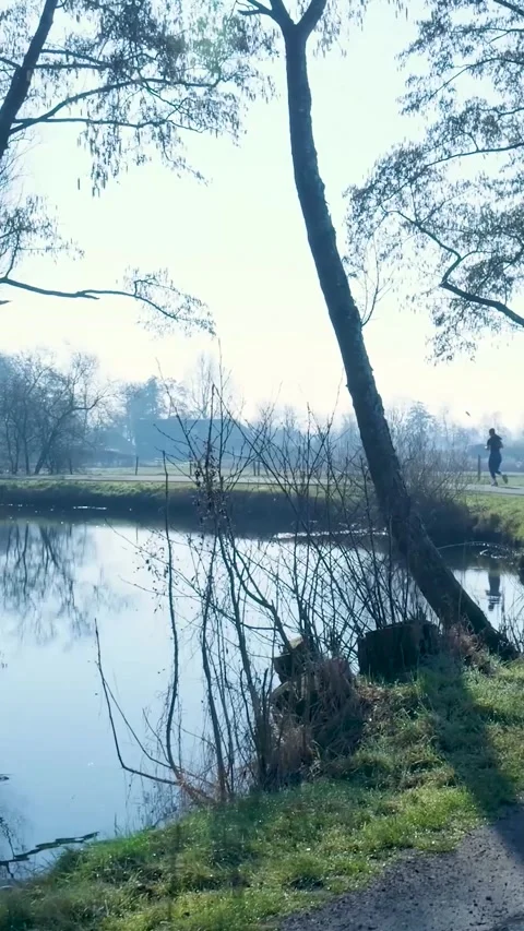 Person jogging on a path next to a tranquil pond in the park Stock Footage 334424491
