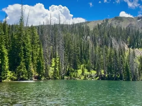 Person Jumping Off Rock into Pristine Mountain Lake Stock Footage 339880138
