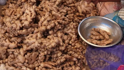 The person is keep the fresh gingers Stock Footage 304065072