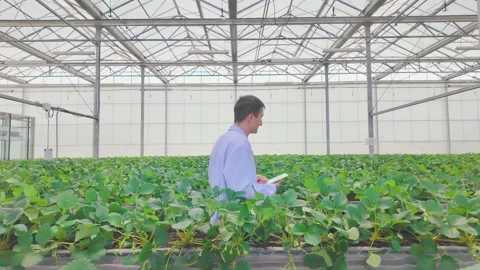 A person in a lab coat walking and examines with a tablet while walking. Stock-Footage 291796383