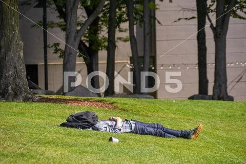 Person laying on the grass in Space Needle park in Seattle Stock Photos