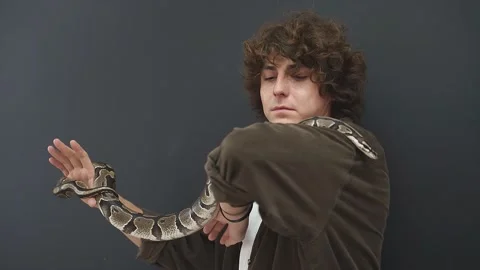A person is a little afraid of a snake that crawls on his hands, he is confused Stock Footage 159054700