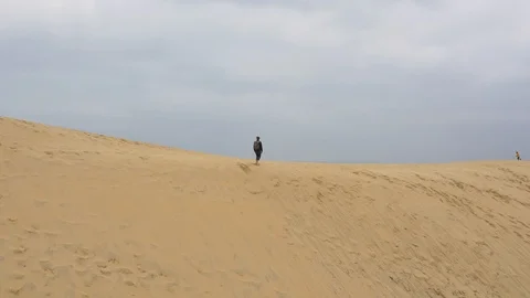 Person looking out over view from top of sand dune Stock Footage 102508401