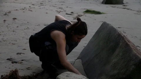 Person looking for sea shells Stock Footage 83164062