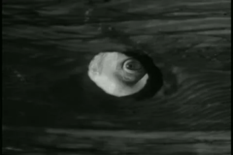 Person looking through peephole Stock Footage 11347070