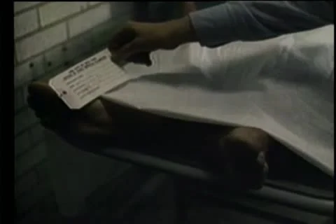 Person looking at toe tag on corpse in morgue Stock Footage 11350300