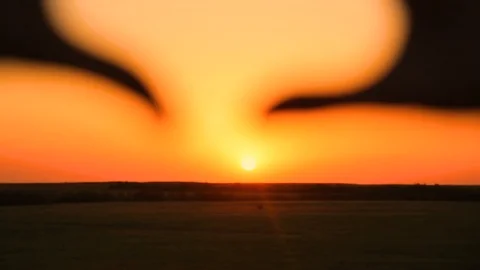 Person making heart with hands over nature sunset background. Happy people Stock Footage 89740404