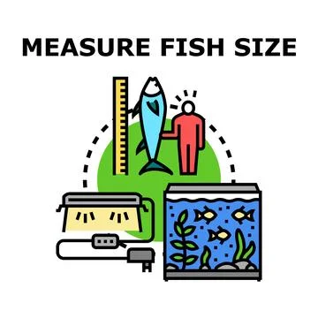 Person measuring fish size for aquarium hobby Stock Illustration