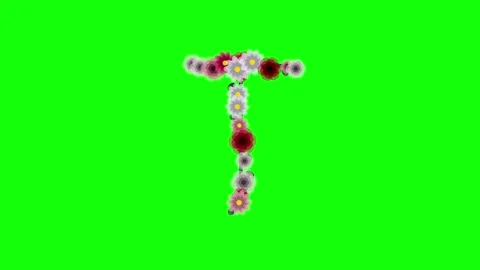 Person Motion with Letter on Chroma Key for Compositing Video stock 337996443
