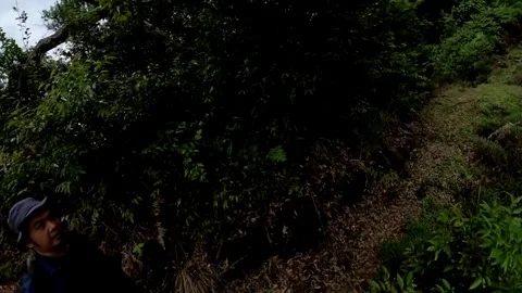 Person on a narrow path in dense forest Stock Footage 279326308