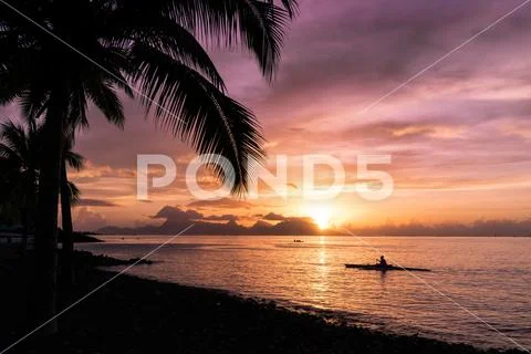 A person navigates the ocean in a canoe under a sunset in front of a palm tre Stock Photos