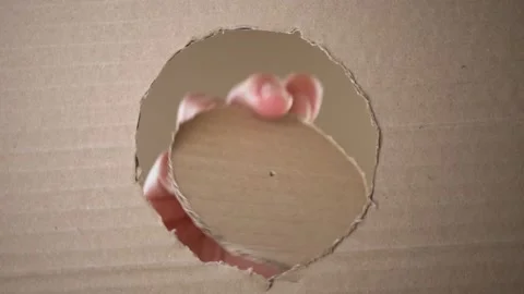 A person opens a circular slot in a sheet of cardboard Video stock 143236183